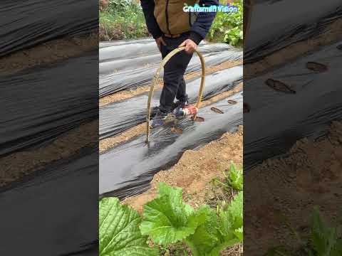 Homemade mulch film hole punch thumbnail