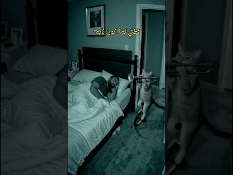 قطتي لما اكون نايم ? thumbnail