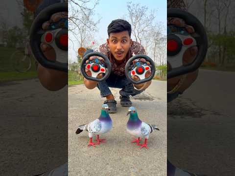Duck 🦆 VS Remote Control Bird Not Working thumbnail