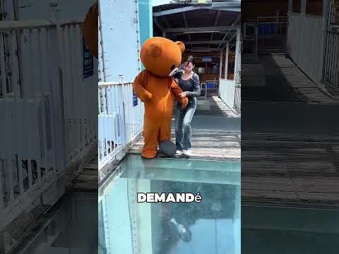 L'ours a porté la jeune fille dans ses bras à travers le pont  😯❤️ thumbnail