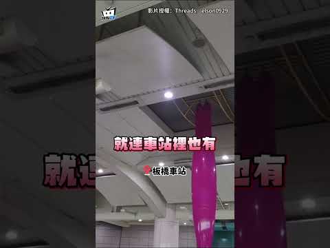 雙北下五月雪！木棉花絮隨風飄散街頭 網嘆：過敏人的災難 #shorts thumbnail