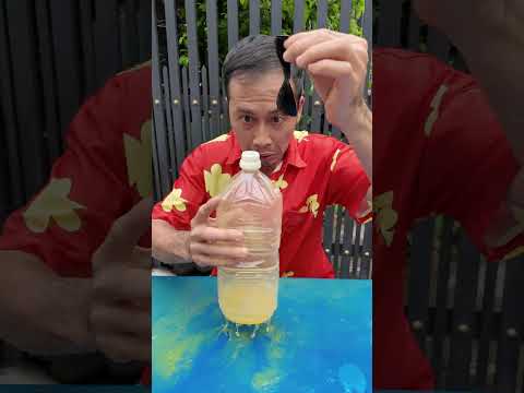 Cách Tôi Giữ Nước Trong Bình Bị Thủng #haongchu thumbnail