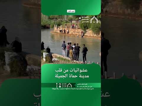 عشوائيات من قلب مدينة حماة الجميلة. thumbnail