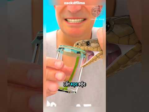 Mỗi ngày ông ta đều tiêm lọc rắn vào cơ thể mình #shorts #facts thumbnail