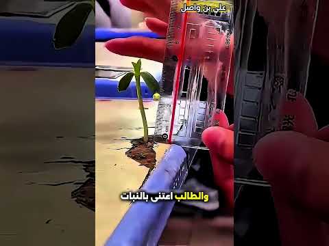 هذا الشاب يزرع نبات دوار الشمس الثمين…!#shorts #shortvideo #shortsfeed #اسلاميات thumbnail
