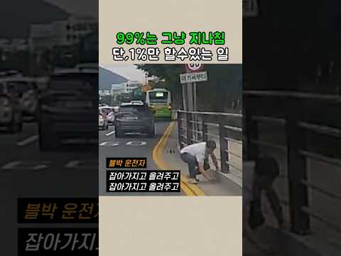 동물의 생명을 소중히 여길줄 아는 이런분은 분명 선하신 분일꺼에요. 감사합니다. #블랙박스 #시민영웅 #따뜻한이야기 thumbnail