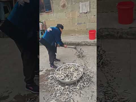 اتضح أن أشواك النيص يمكن استخدامها في الصيد 😯 thumbnail
