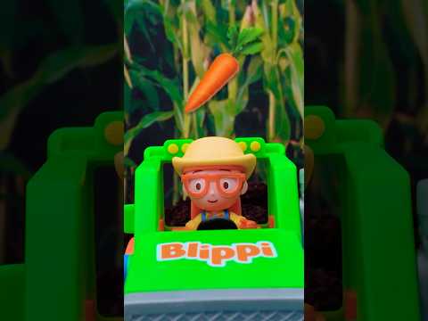 BROOM! 👨‍🌾 Farmer Blippi's Tractor Digs up Carrots🚜! thumbnail