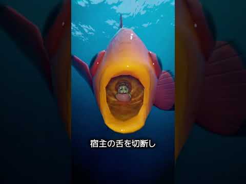 魚の舌を乗っ取る寄生虫 thumbnail