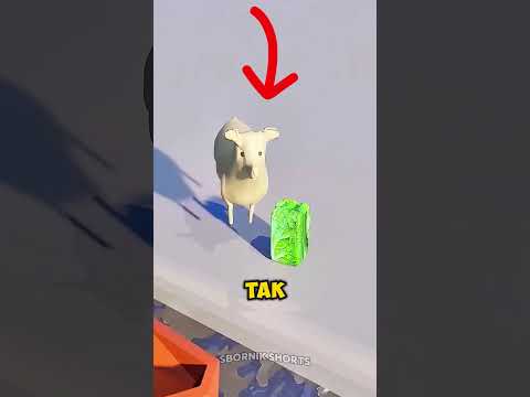 Загадка, которую знают не все 🧠 thumbnail