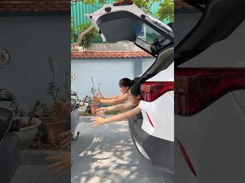 Cute _Cảm biến oto chạy bằng cơm ??? #funny #shortvideo thumbnail