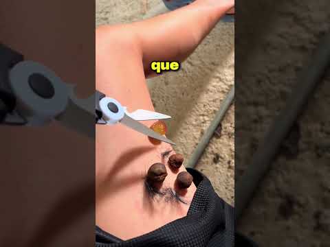 Le Dijo Que No Lo Hiciera… Pero No Le Escuchó y Se Arrepintió thumbnail