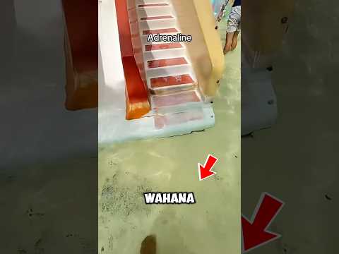 sampai dikira editan saking gilanya wahana ini thumbnail