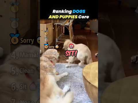 Ranking BEST DOGS AND PUPPIES Core Moments!! 🐶🐾 thumbnail