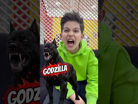 Kızların vs erkeklerin köpeklerine koyduğu isimler thumbnail