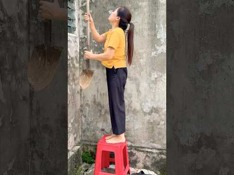 Helping the mother bird return to her nest safely ?‍⬛?‍⬛?‍⬛ #funny #shortvideo thumbnail
