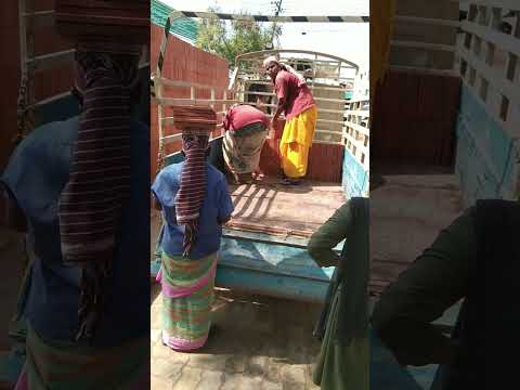 Tata Ace Mandidost pickup Vandi JCB crane BMW Audi# tamil# Tata Eicher  lorry tipperTata. thumbnail