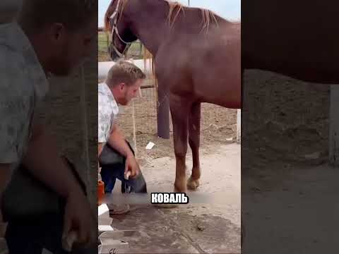 Обычные инструменты уже не ПОМОГАЛИ😨🛠🐎 thumbnail