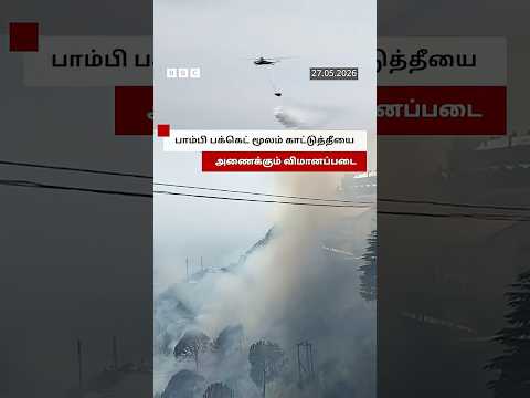 Bambi பக்கெட் மூலம் காட்டுத்தீயை அணைக்கும் விமானப்படை thumbnail