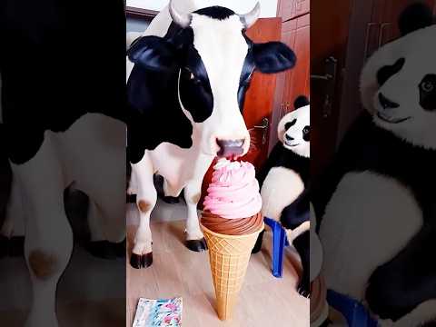 Marvelous Dancing Polish Cow funny panda cow dance Cow Song cow farm giant strawberry ice cream asmr thumbnail