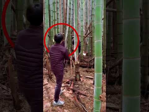 Kỹ năng Tameshigiri không đơn giản như vậy 🤯 thumbnail