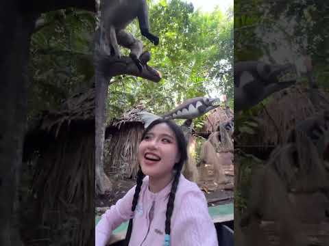 เจออะไรเนี่ยบนหัว thumbnail