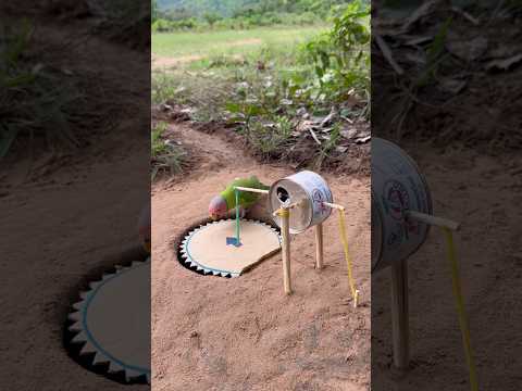 Amazing DIY Parrot Trap Using Paper and Can #shorts thumbnail