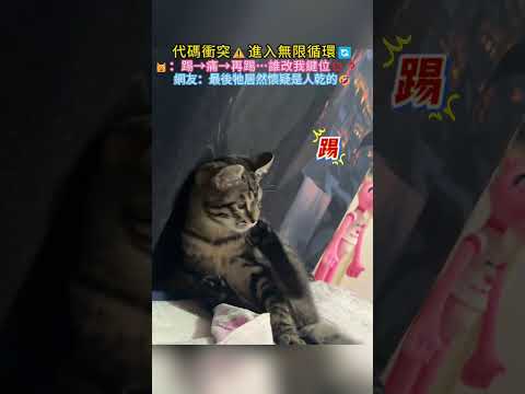 代碼衝突⚠進入無限循環? ?：踢→痛→再踢…誰改我鍵位?❓網友：最後牠居然懷疑是人乾的? #cat #cute #funny #funnyshorts #shorts thumbnail