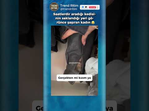 Saatlerdir Aradığı Kedisine Tepki Veren Kadın ?? thumbnail