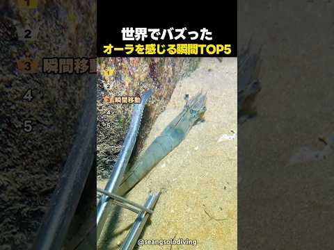 世界でバズったオーラを感じる瞬間TOP5 thumbnail