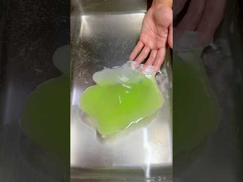 Fake food Lettuce! Food Sample thumbnail