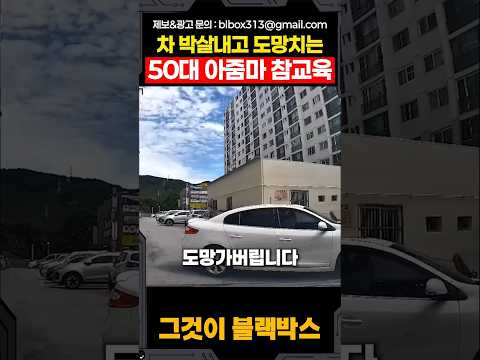 차 박살내고 도망친 50대 아줌마 참교육 thumbnail