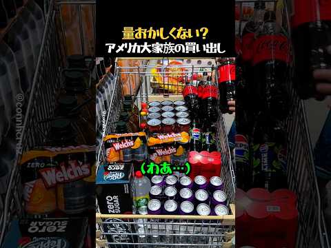 アメリカ大家族の桁違いの買い出し thumbnail