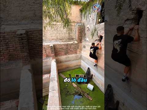Thứ đáng sợ xuất hiện dưới hầm nước thúi 🧐 thumbnail