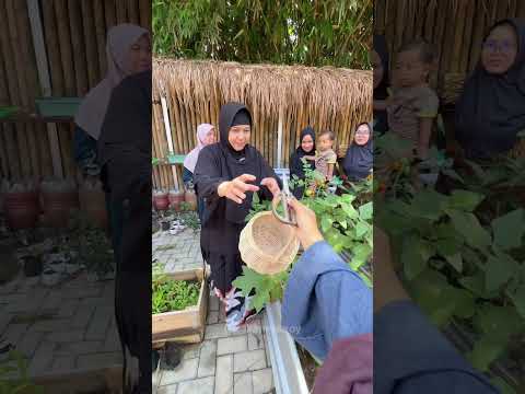 POV MULAI BISA HEMAT DARI KEBUN MUNGIL thumbnail
