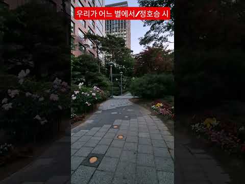 시가있는 아침 #우리가 어느별에서 #정호승시인 #시 #안중태tv #shorts thumbnail