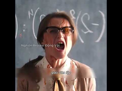 Cậu bé này đã trở nên vô hình. thumbnail
