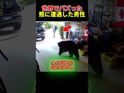 世界でバズった熊に遭遇した男性 thumbnail