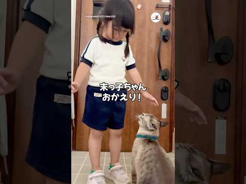 末っ子ちゃんに抱っこを求める猫さん｜PECO thumbnail