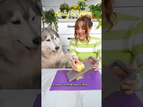 Come preparare uno SNACK facile e veloce per il tuo CANE! 🍏🐶🍎🥥 #cucina #ricetta #cane #cani #dog thumbnail