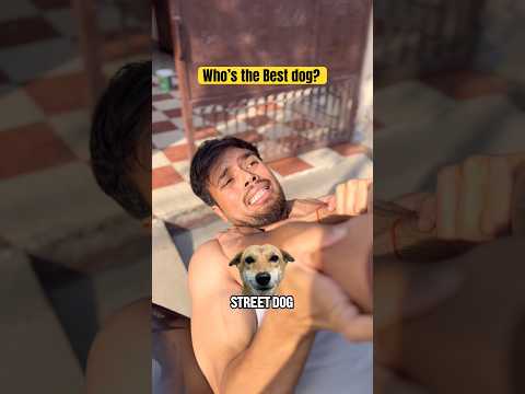 Who’s the best dog? #shorts #trending thumbnail