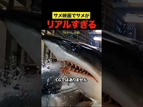 サメ映画でサメがリアルすぎる件 thumbnail