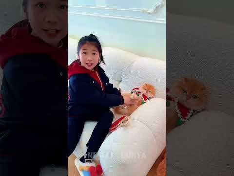 🐱 Top Kayboldu, Herkes Kediden Şüphelendi thumbnail