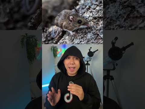Thảm Kịch Giữa Đại Dương ? thumbnail