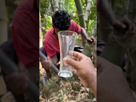 Amazing Bamboo Craft! Turning Bamboo into a Beautiful Eco Glass #shorts thumbnail