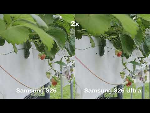 Samsung S26 vs S26 Ultra_Daylight Zoom Test thumbnail