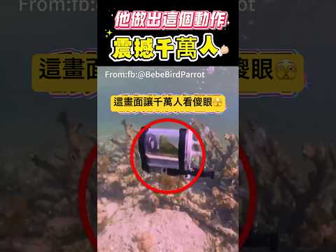 他做出這個動作！震撼千萬人🫣 #動作 #寵物#shorts 小林Lin’s life thumbnail