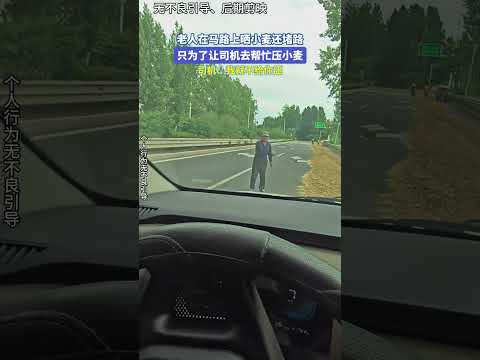 老人在马路上晒小麦还堵路，只为了让司机去帮忙压小麦。司机：我就不给你压 thumbnail