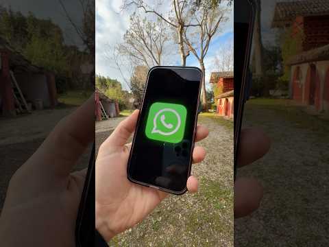 Trucchi Videochiamate WhatsApp che devi Conoscere! thumbnail