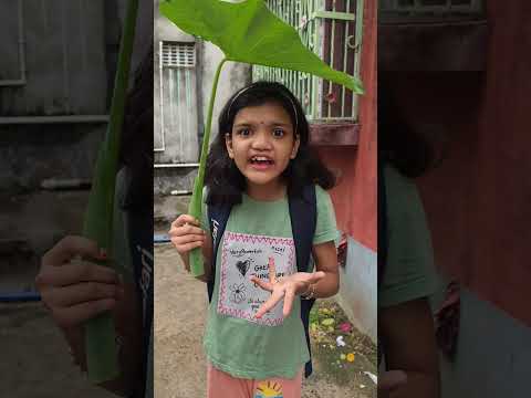 Dil Galti kar baitha hai 😯😂#kritikachannel#Shorts#funnyshorts#comedyshorts thumbnail